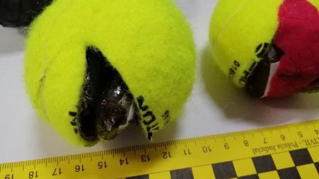 Intentar arrojar una pelota hacia el interior de un recinto penal es un indicio que permite el control de identidad y registro del imputado, resuelve la Corte Suprema.