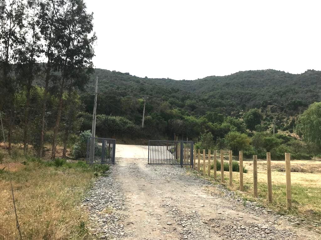 Negativa de la Dirección de Vialidad para reabrir un camino perteneciente a una parcelación formada durante la Reforma Agraria por existir otra vía de acceso a los predios carece de fundamentación, dictamina el Contralor.