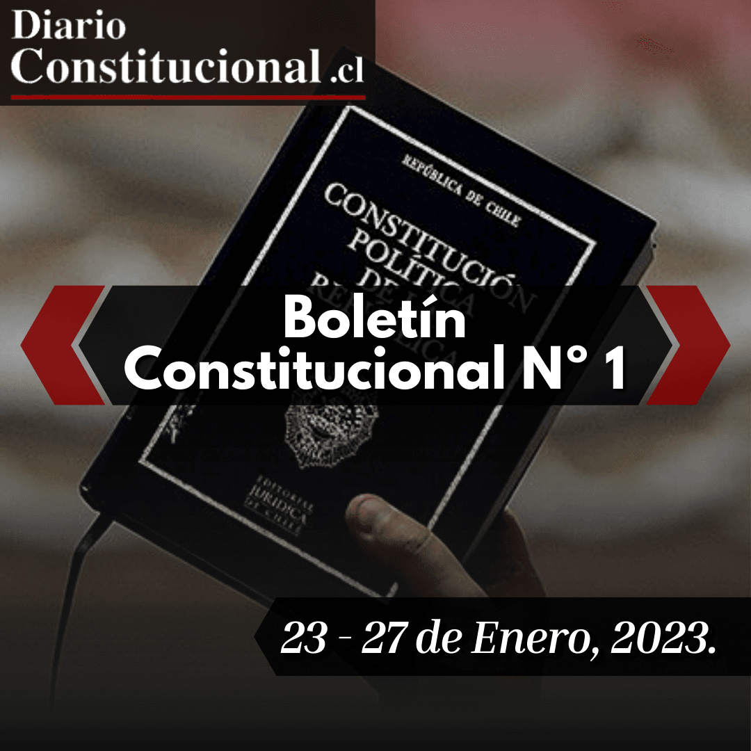 Boletín Constitucional N°1: La conformación de la Comisión de Expertos, el Comité de Admisibilidad y el reglamento para el nuevo proceso constituyente.