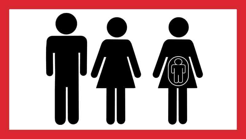 Tribunal Supremo de España reconoce el derecho a prestación de maternidad a una mujer que adoptó al hijo de su cónyuge que nació por gestación subrogada.