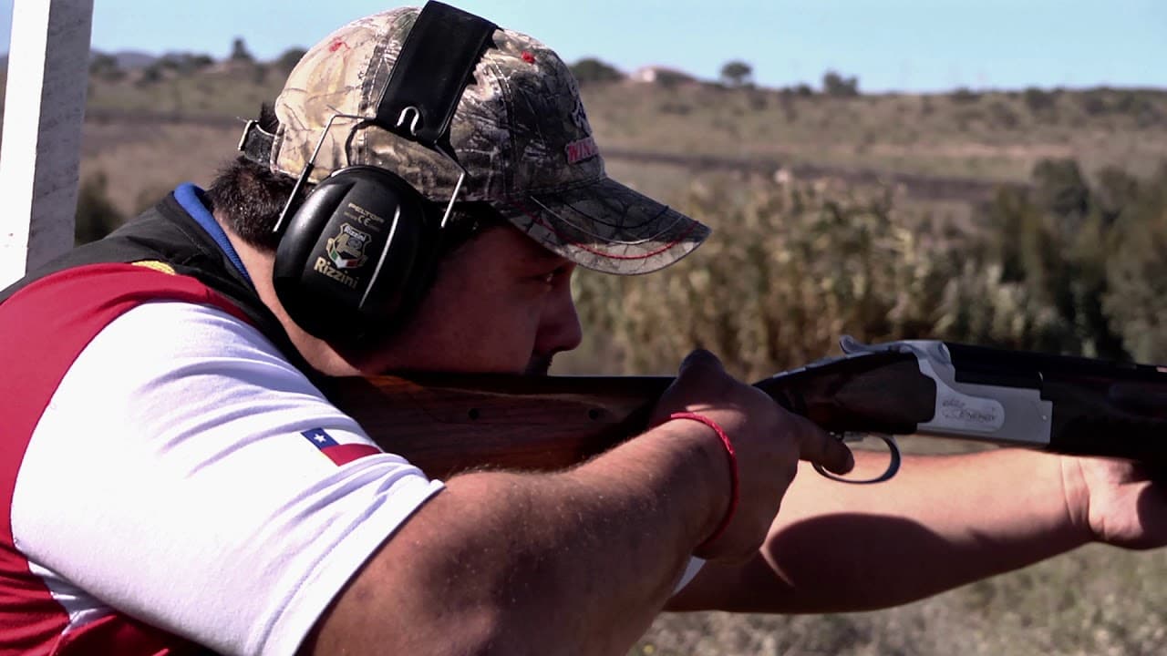 Resolución de la DGMN que somete al control de la Ley 17.798 piezas de armas deportivas no es susceptible de impugnarse mediante un recurso de protección, confirma la Corte Suprema.