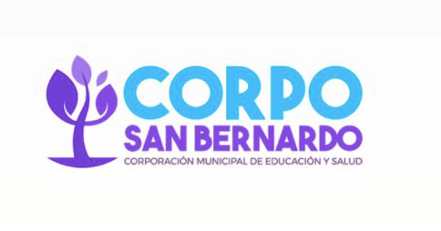 Corporación Municipal de Educación y Salud de San Bernardo debe informar sobre compras de medicamentos e insumos, decide el CPLT.
