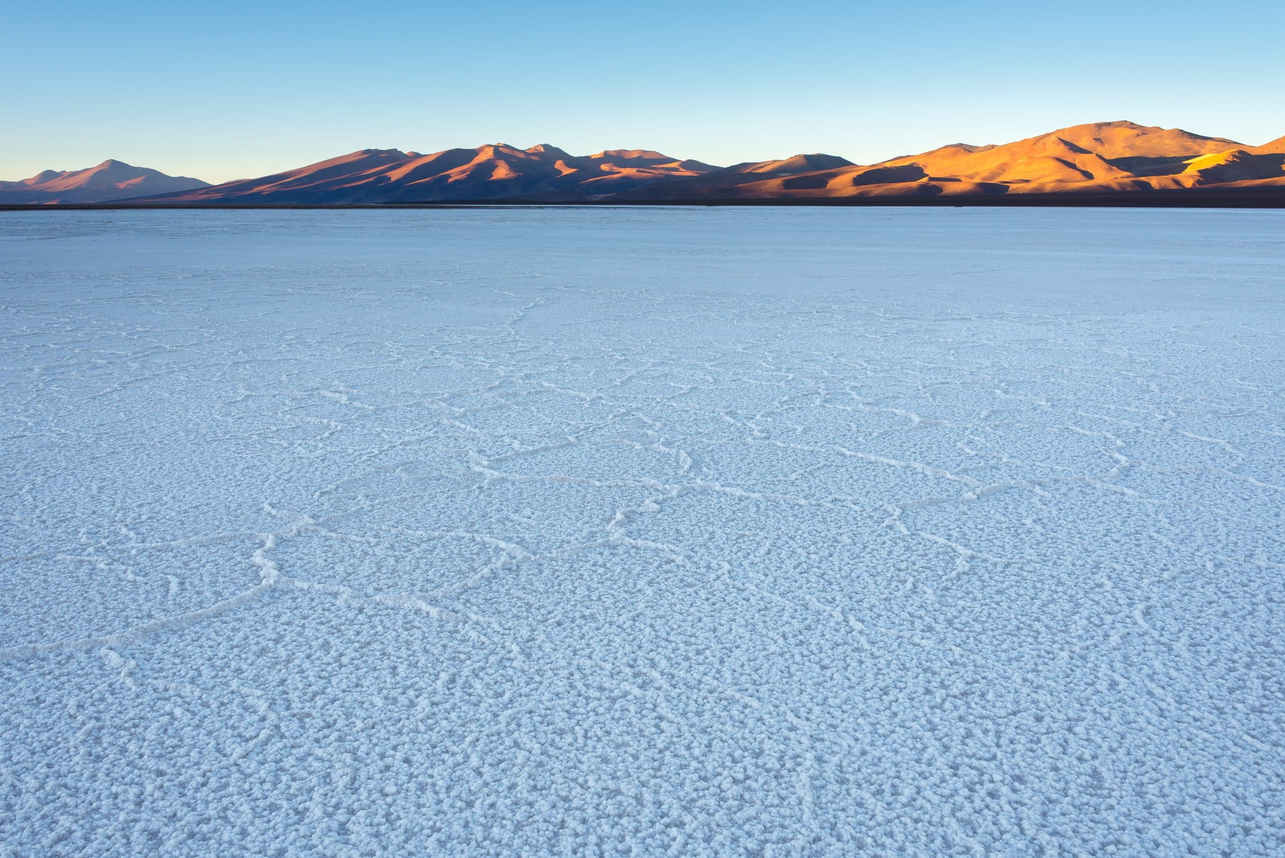 Comunidad indígena Colla reclama ante el Primer Tribunal Ambiental por proyecto que pretende extraer salmuera del Salar de Maricunga.