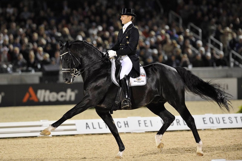 Dueño de caballo de doma clásica no sólo tiene la propiedad del animal que adquirió sino que también el derecho exclusivo de reproducción, resuelve un Tribunal de Países Bajos.