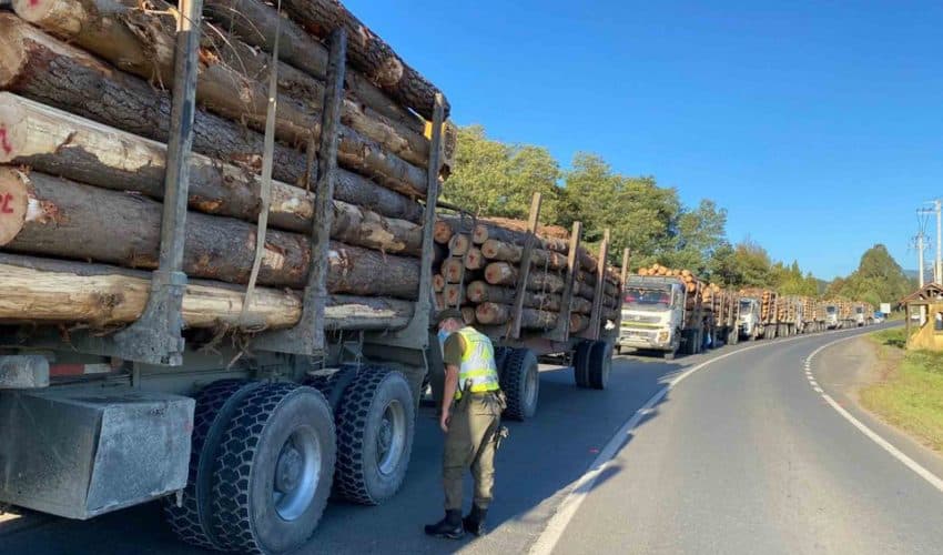 Norma que dispone el comiso de vehículos motorizados utilizados para la comisión del delito de sustracción de madera, se impugna ante el Tribunal Constitucional.