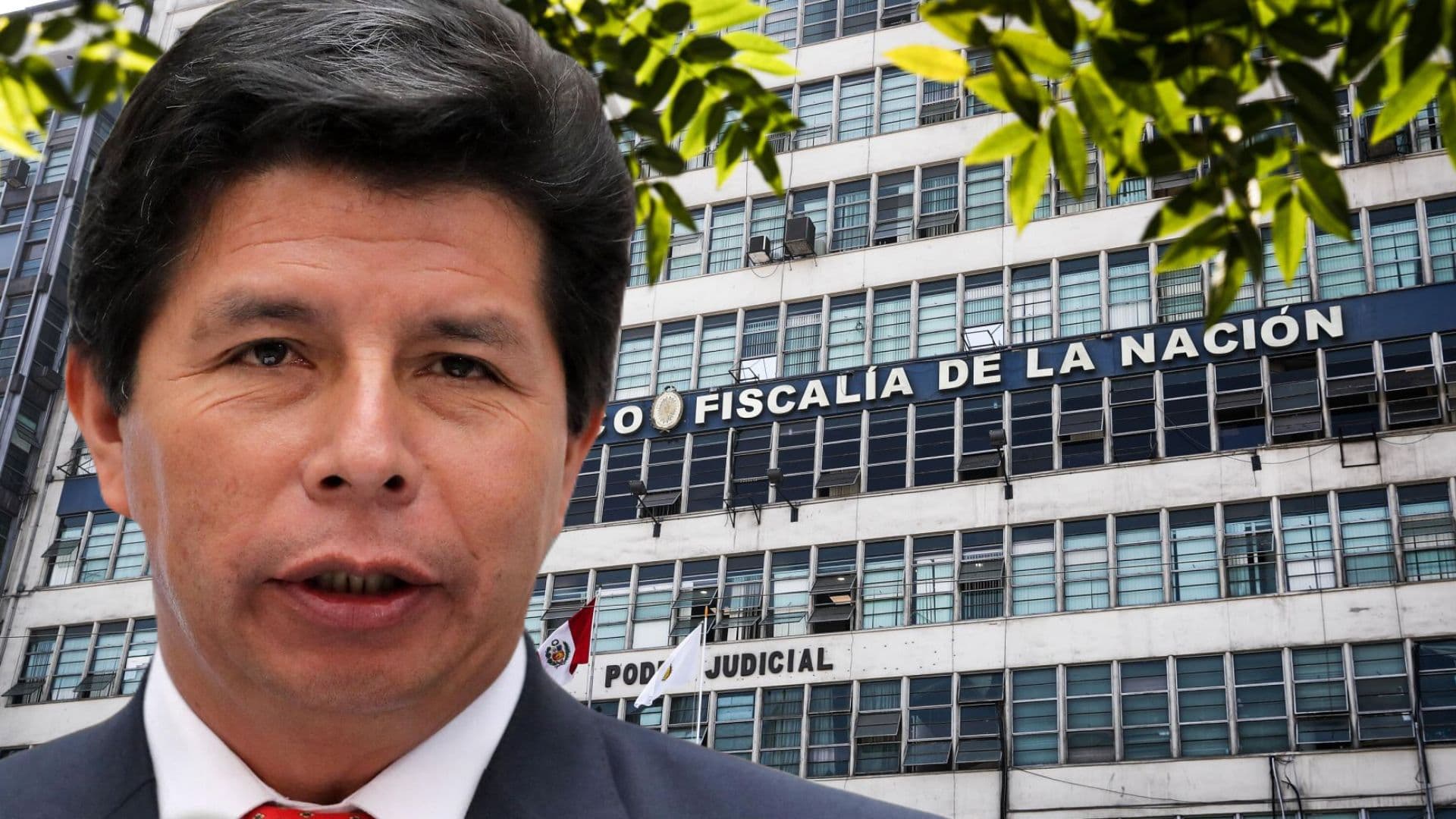 imagen: infobae
