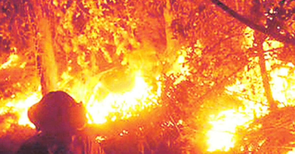 Imagen: latercera