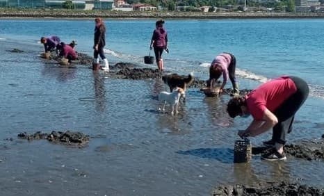 Imagen: Subsecretaría de Pesca
