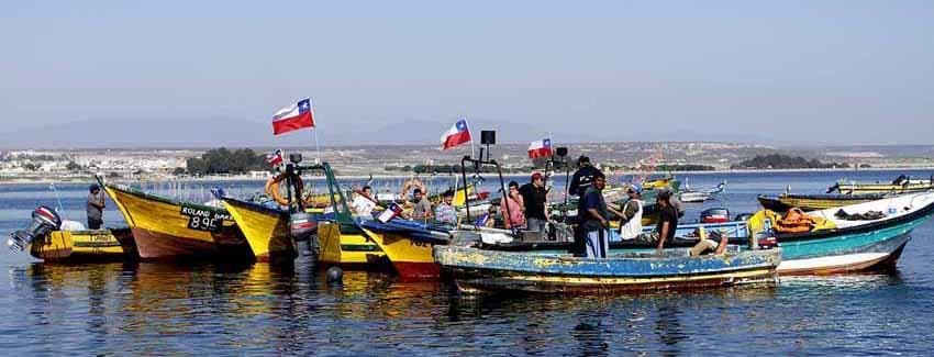 Imagen: Sernapesca