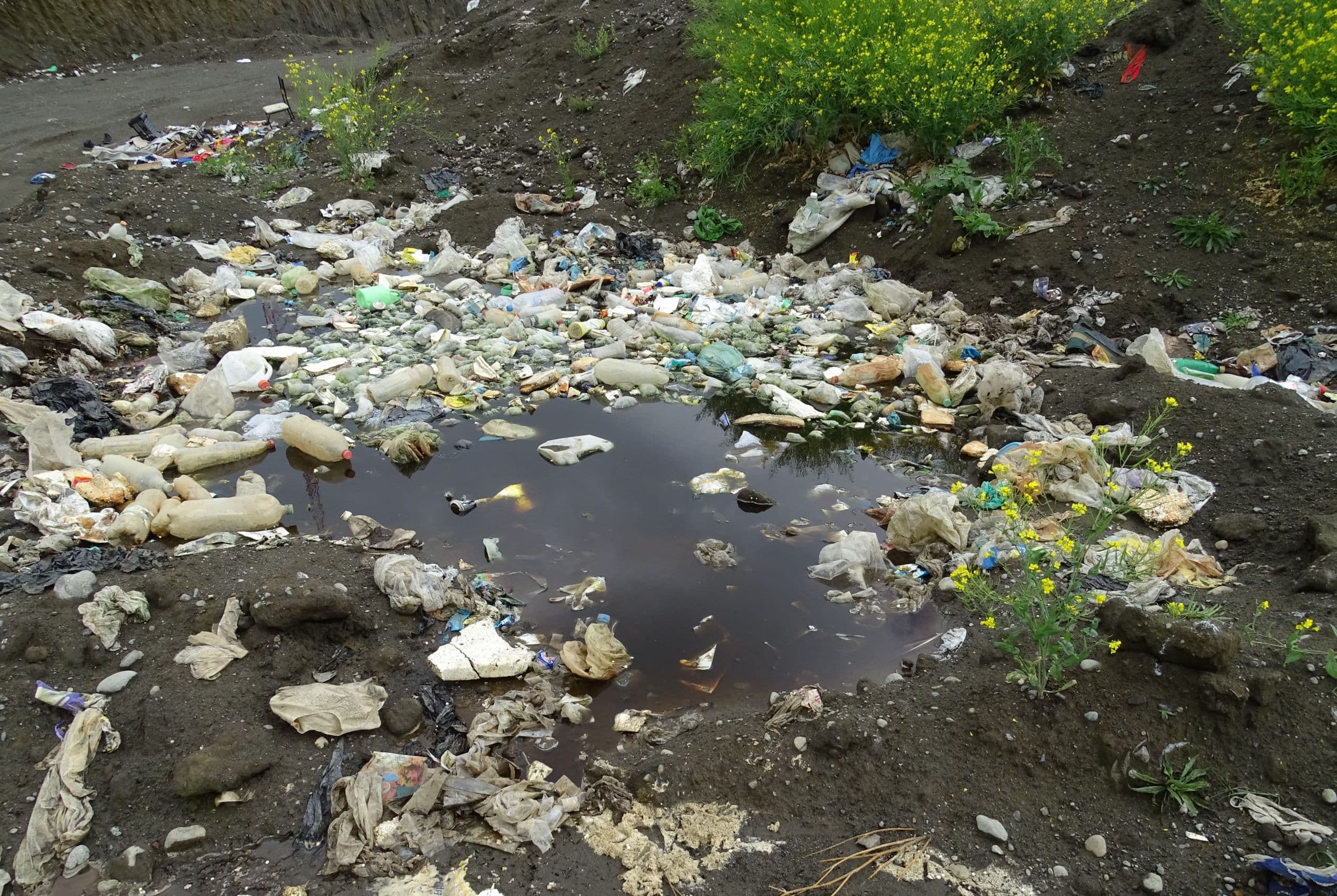 Imagen: Superintendencia de Medio Ambiente