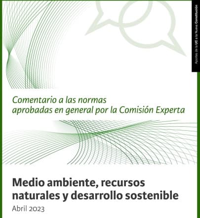 Documento del Foro Constitucional UC propone robustecer y sistematizar capítulo de protección del medioambiente, sostenibilidad y desarrollo aprobado en general por la Comisión Experta.