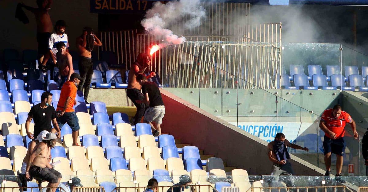 imagen: ADN