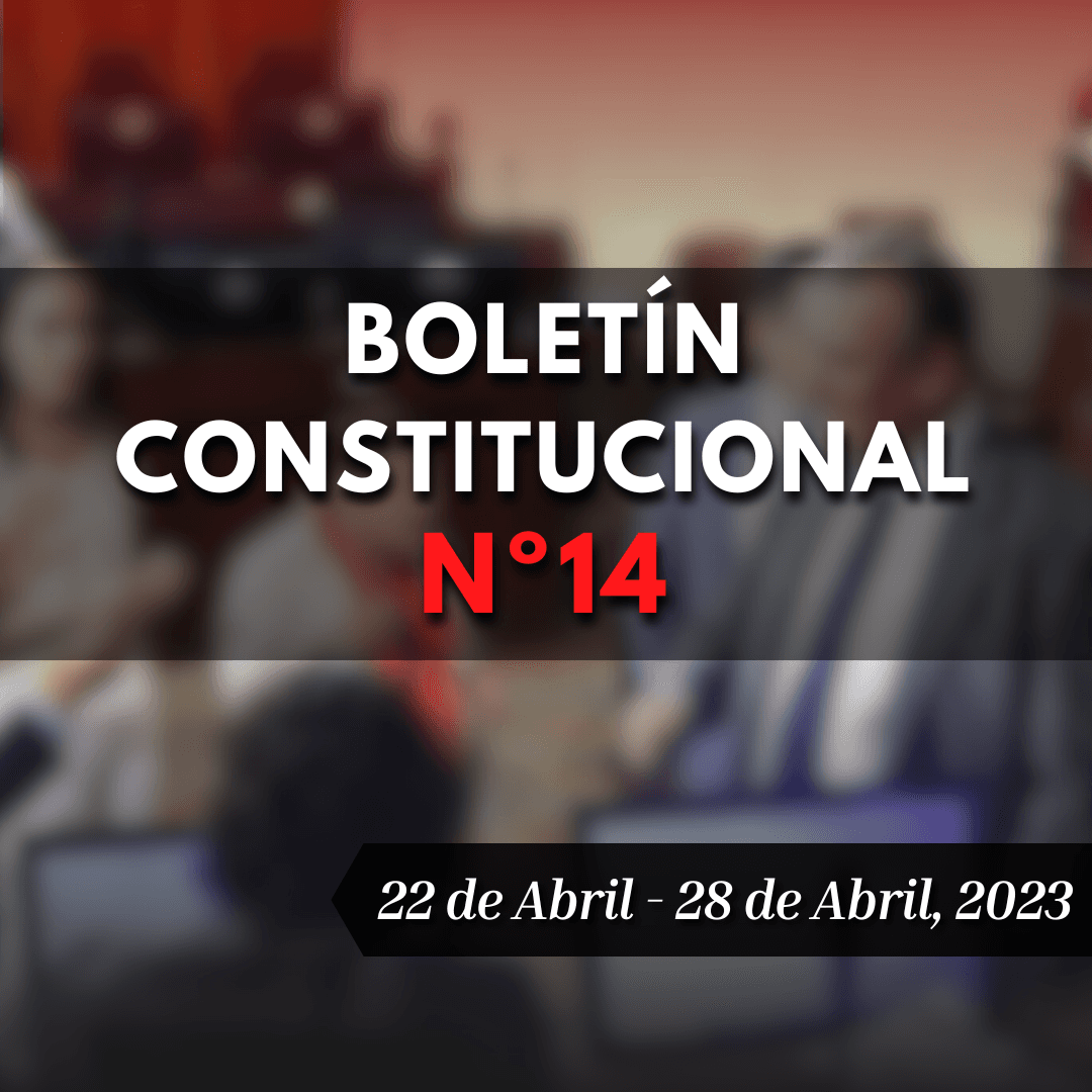 Boletín Constitucional Nº 14: De polémicas y Confrontaciones