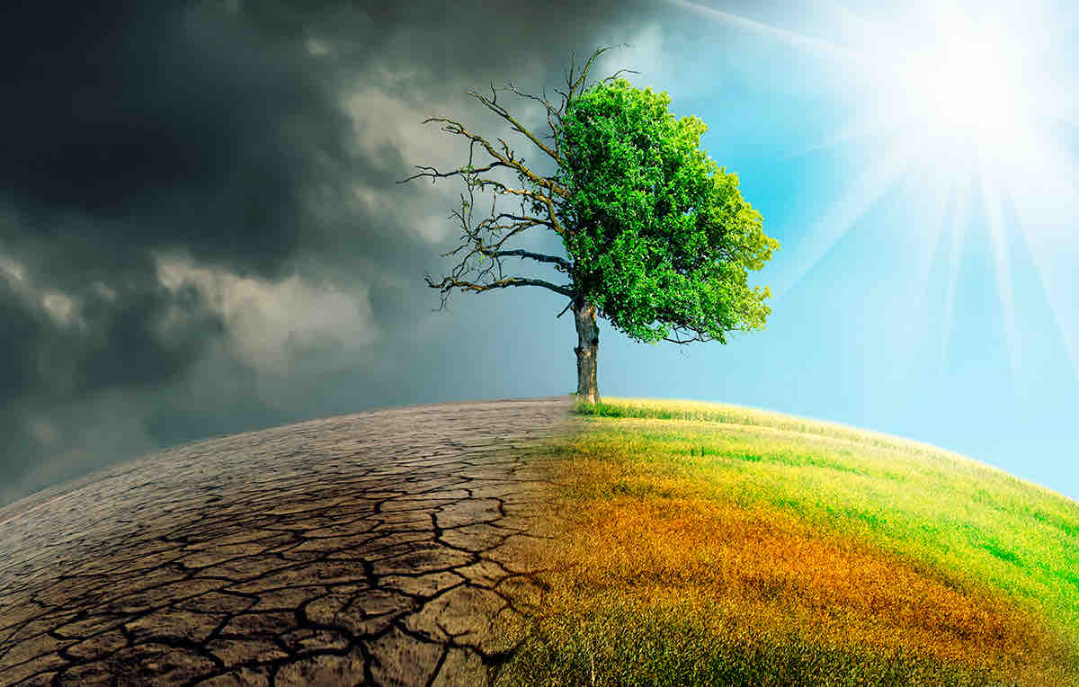 imagen: agrocolun.cl