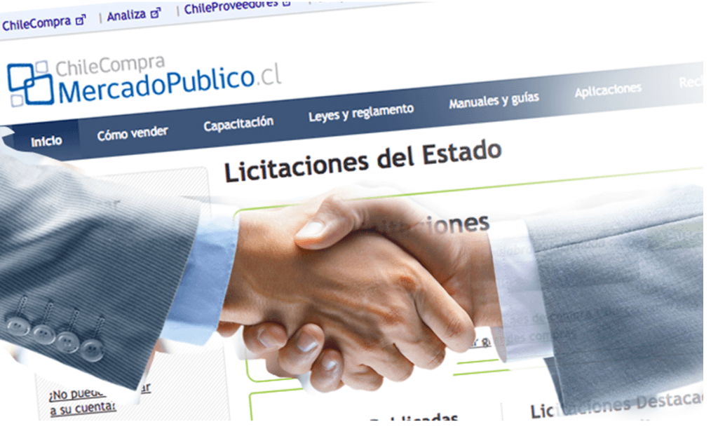 Principios de probidad, transparencia, de estricta sujeción a las bases, de igualdad de los oferentes y no discriminación, todos ellos principios cardinales de la contratación pública, no han sido vulnerados.