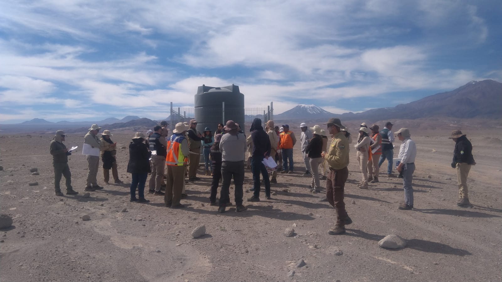Primer Tribunal Ambiental inspecciona estado de algarrobos en el marco de la reclamación del Consejo de Pueblos Atacameños por incumplimientos ambientales de SQM.