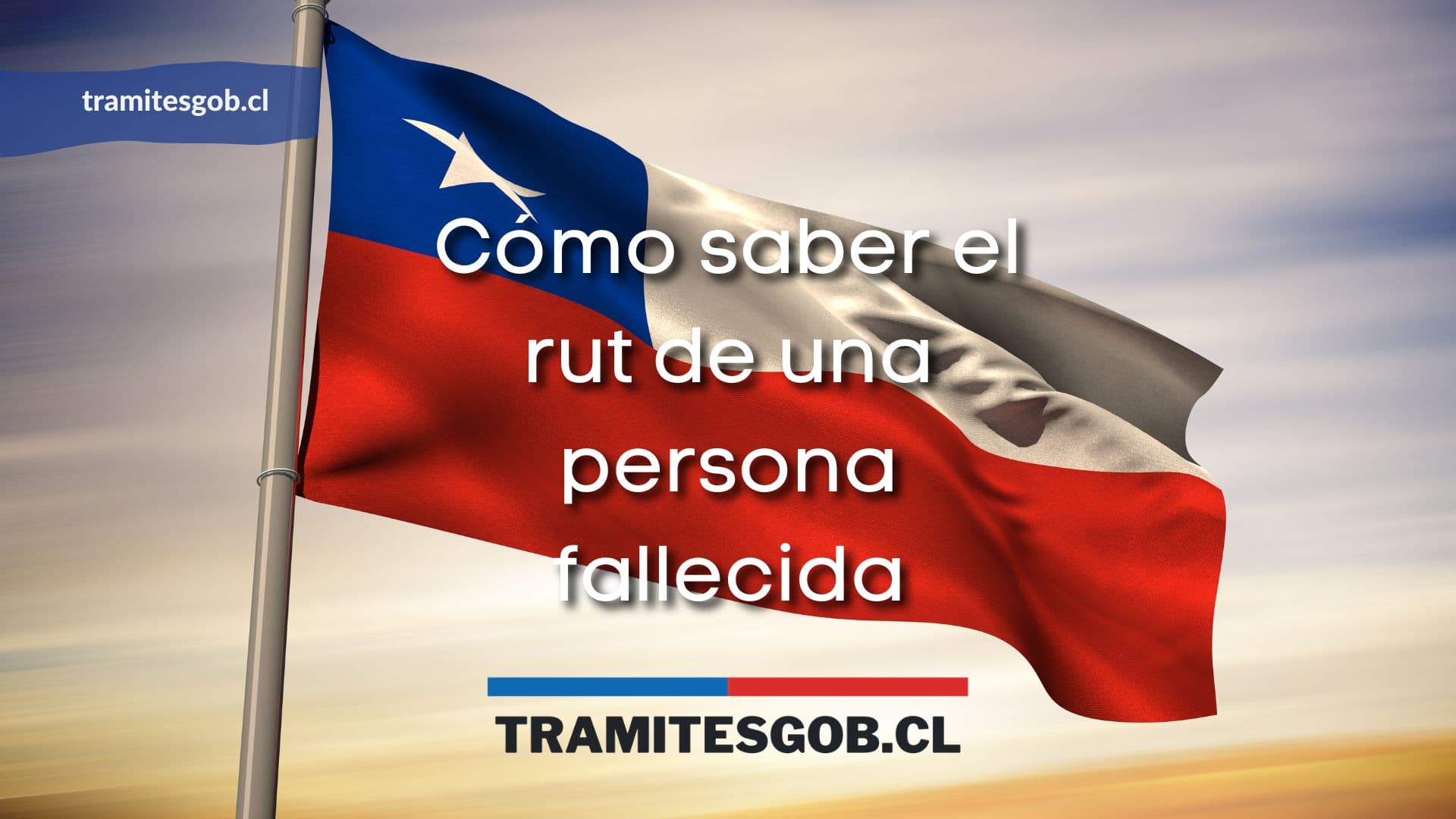Amparo de acceso a la información pública no es la vía idónea para solicitar el RUN de una persona fallecida.