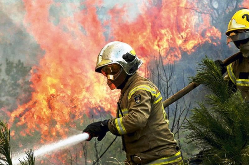 imagen: radio.uchile.cl