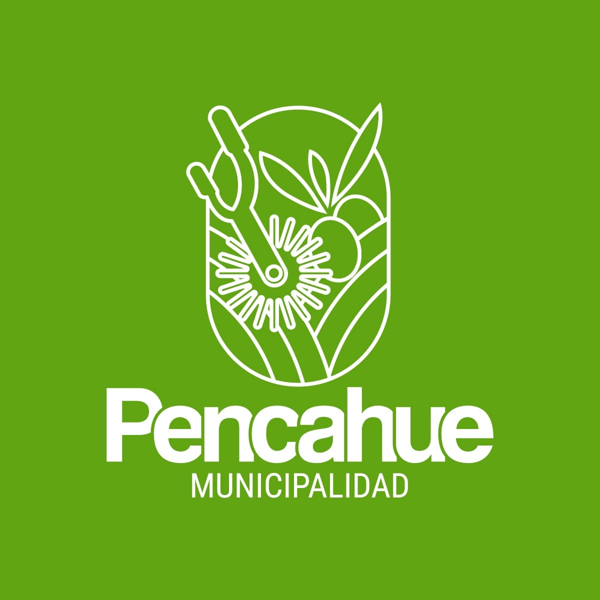Imagen: Municipalidad de Pencahue