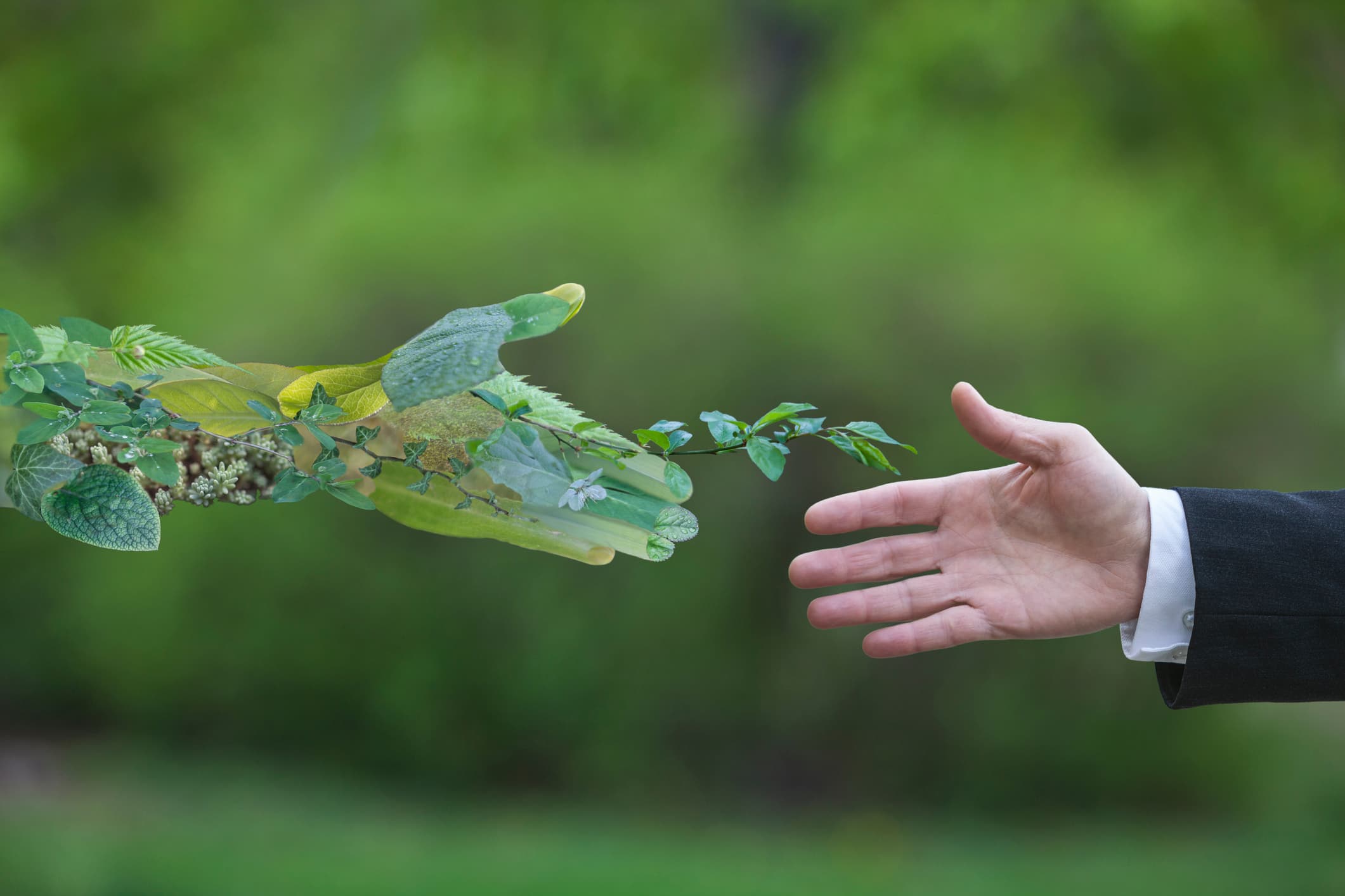 imagen: elglobal.es