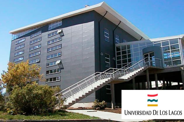 Corte de Santiago ordena a universidad otorgar facilidades de pago de deuda de aranceles y permitir que el recurrente rinda examen de titulación.