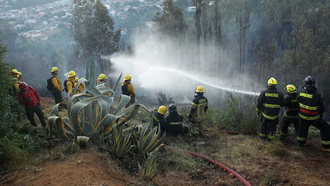 Imagen: Cooperativa