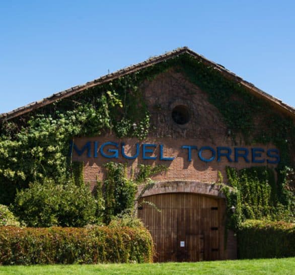 Imagen: winesofchile.org