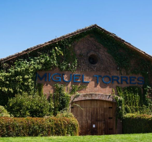 Imagen: winesofchile.org