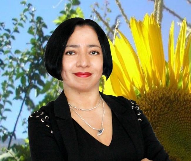 Norma de la Ley Orgánica Constitucional sobre Gobierno y Administración Regional que establece que el juicio de remoción del gobernador regional se conoce en una única instancia por el TRICEL, no revisada por la Magistratura Constitucional.