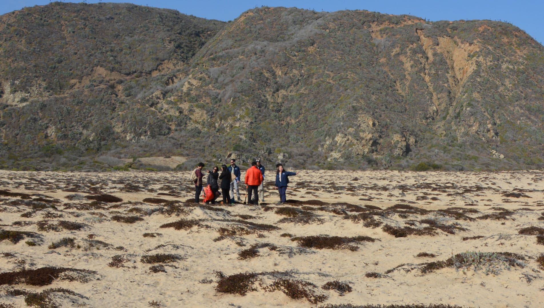 Segundo Tribunal Ambiental ordenó al Ministerio de Medio Ambiente realizar nuevo análisis técnico para determinar si procede declarar como humedal urbano a la Quebrada Grande y Dunas de Tunquén en la Región de Valparaíso.