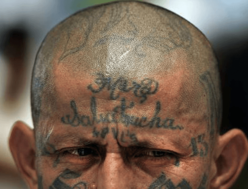 imagen: elpais.com