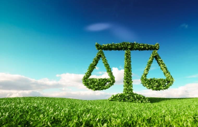 Ley de delitos económicos modifica el Código Penal y sustituye normativa referida a los atentados contra el medio ambiente.