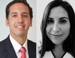 Asume nuevo directorio de LES Chile.