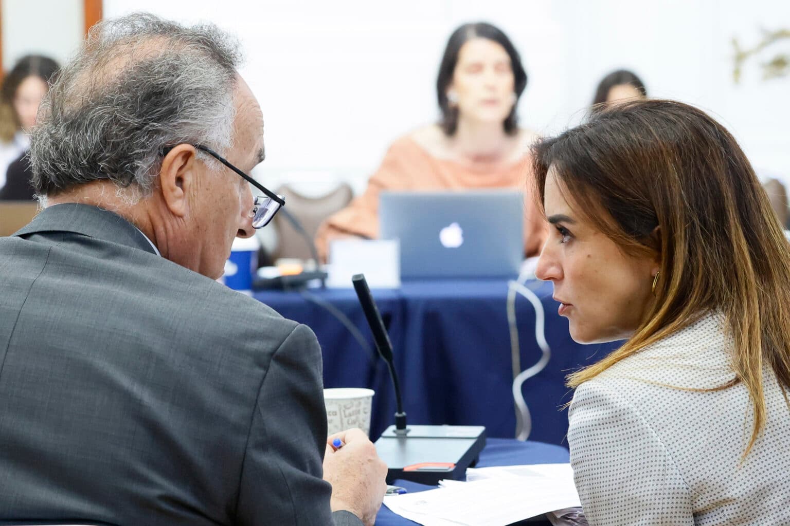 Imagen: procesoconstitucional.cl