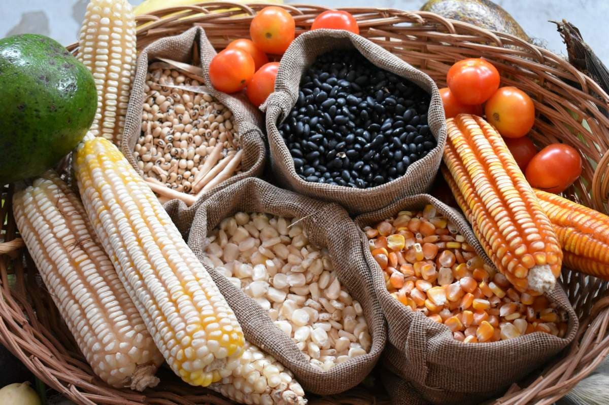 imagen: alianzaalimentaria.org