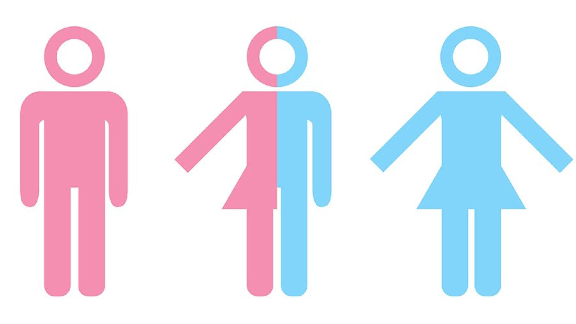 Imagen: undp.org