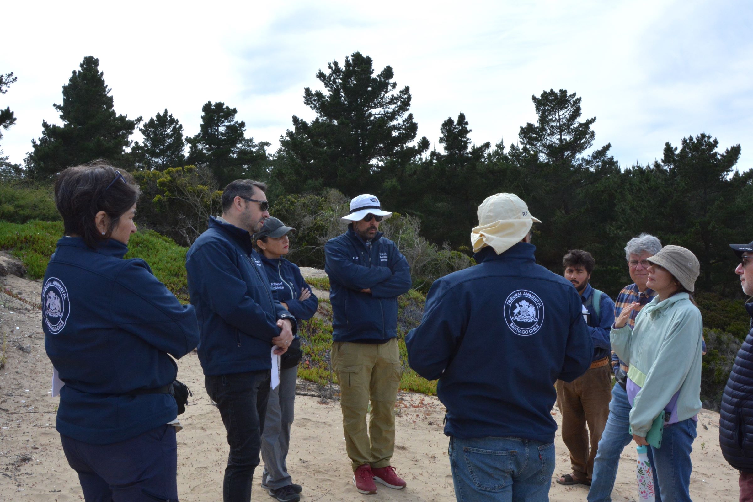 Segundo Tribunal Ambiental inspeccionó sector del campo dunar de la comuna de El Tabo.