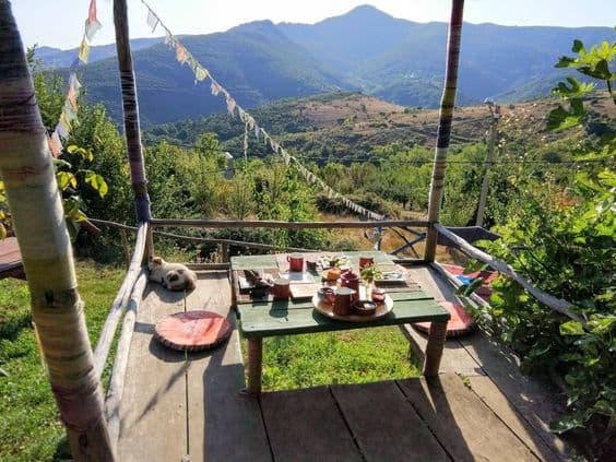 Estar solos tomando desayuno en un sector cordillerano en que fueron halladas plantaciones de marihuana con signos de riego reciente, son indicios suficientes para configurar una potente presunción judicial de participación en el delito de cultivo de cannabis.