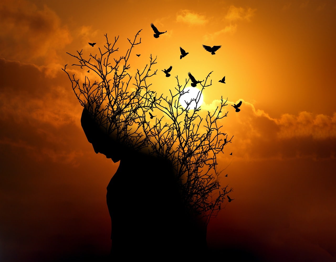 imagen: pixabay.com