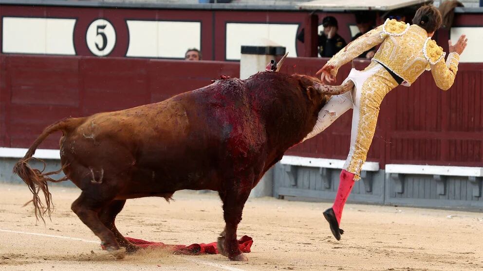 El lesionado era caballista en el encierro y no puede ser considerado un tercero ajeno a la corrida de toros, por lo que el accidente que sufrió queda cubierto la póliza, resuelve Tribunal español.