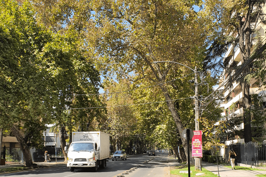 Imagen: providencia.cl