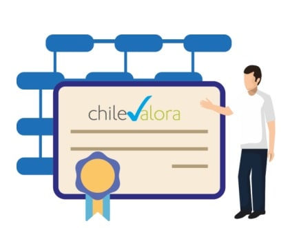 Proyecto de ley que modifica la Ley que crea el Sistema Nacional de Certificación de Competencias Laborales y perfecciona el Estatuto de Capacitación y Empleo, ingresó al Tribunal Constitucional.
