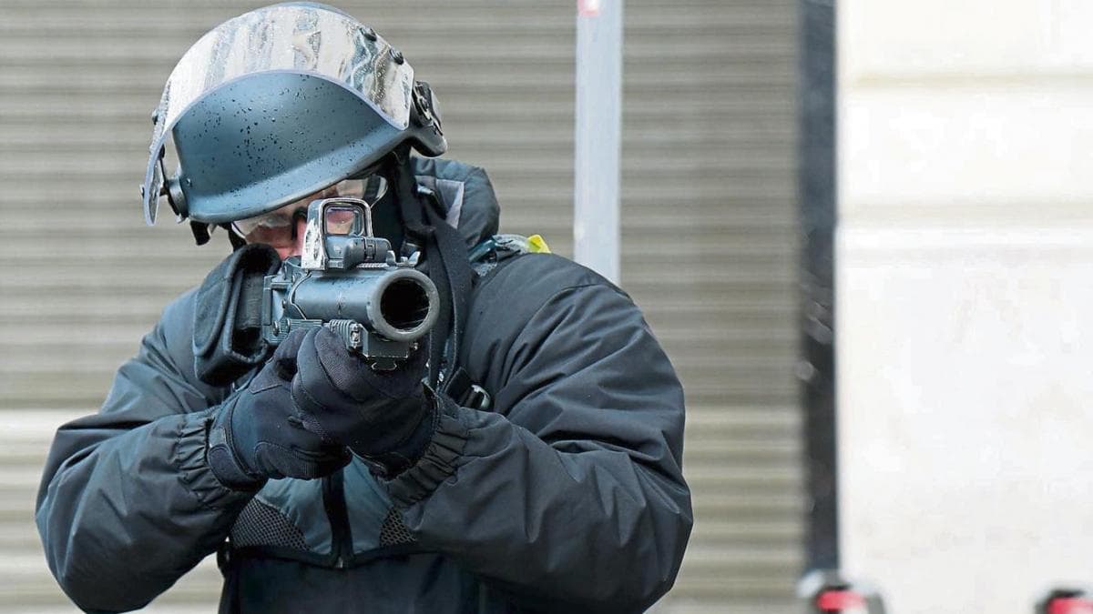 imagen: lavanguardia.com