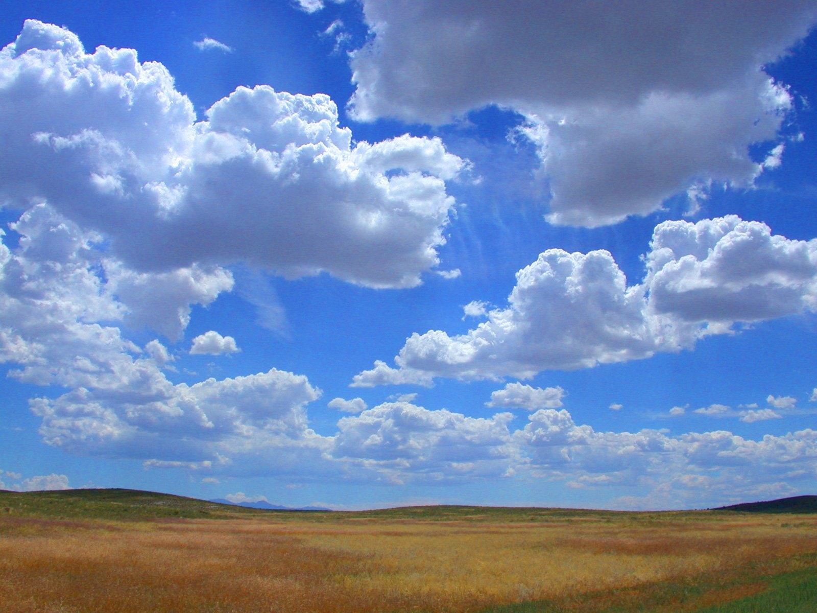 imagen: freeimages.com