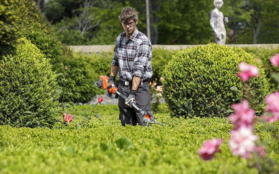 Jardinero que sufrió sobresfuerzo físico por el uso tijeras lo que le gatilló el síndrome de túnel carpiano no califica para declarar su incapacidad permanente, resuelve un Tribunal de España.