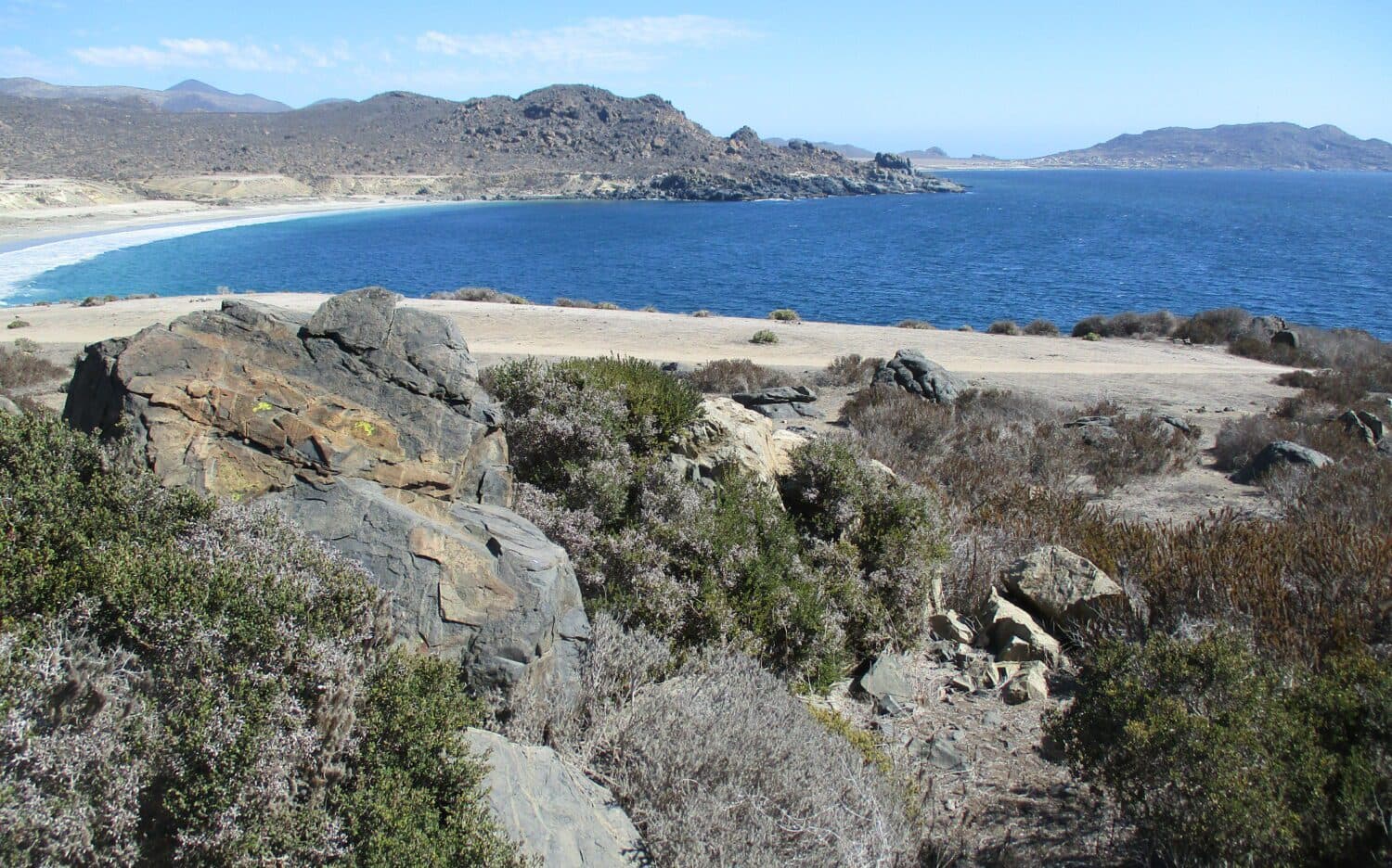 Pescadores, buzos y mariscadores de La Higuera reclaman por la declaración del Santuario de la Naturaleza Cruz Grande.
