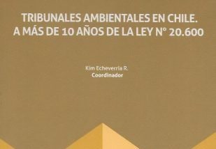 Primer Tribunal Ambiental publica libro que pone de relieve los 10 años de la promulgación de la Ley N°20.600 que crea los Tribunales Ambientales.