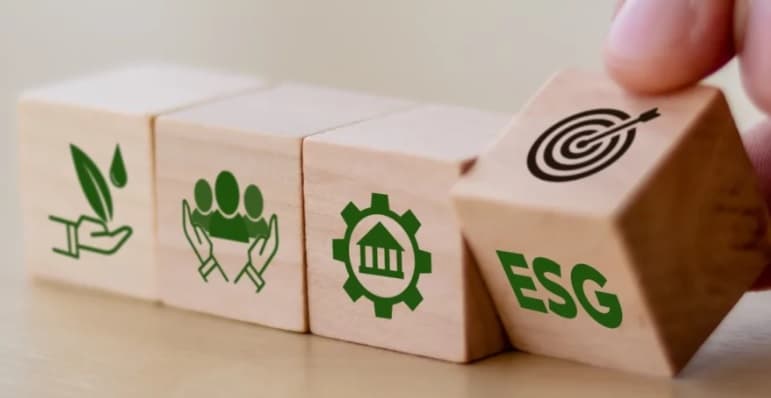 Nuevo sitio especializado sobre materias de ESG y sostenibilidad.