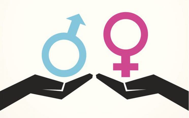 ¿Porque se rechazó el requerimiento de inconstitucionalidad en contra de la expresión “no sexista” contenida en el proyecto de ley que Estatuye medidas para prevenir, sancionar y erradicar la violencia en contra de las mujeres, debido a su género?