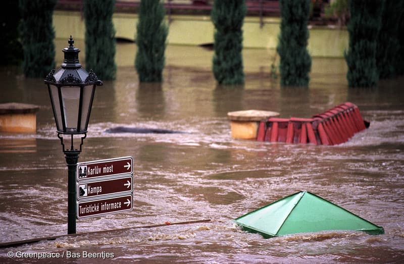 imagen: greenpeace.org